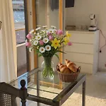 Apartman Basic Mansion Mandalina *