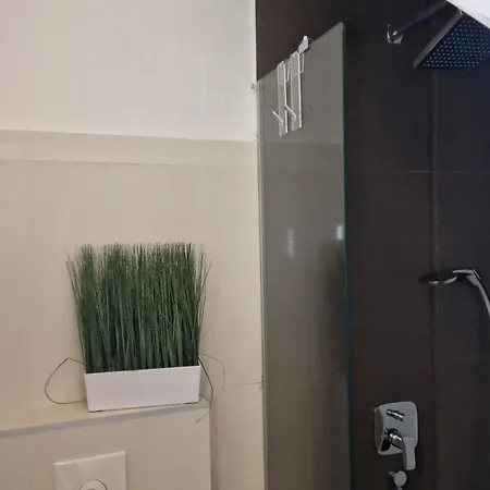 Apartment Basic Mansion Mandalina *