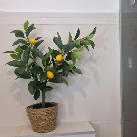 Basic Mansion Mandalina 公寓