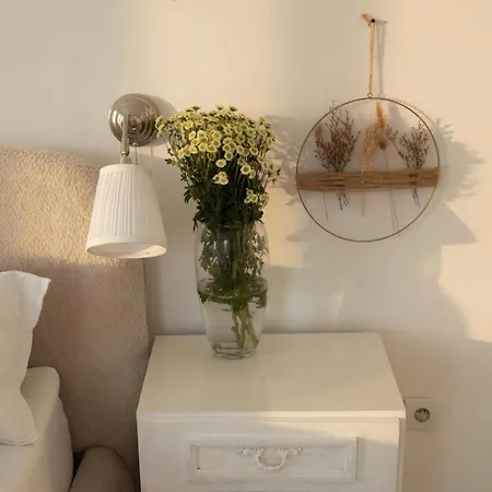 Apartamento Basic Mansion Mandalina *