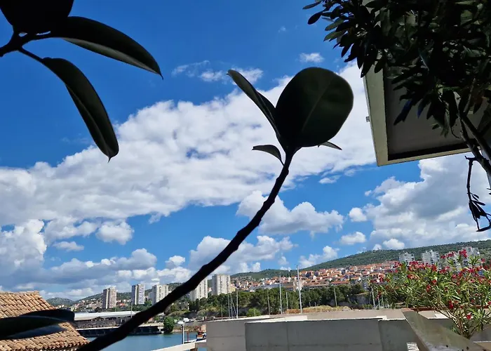 Basic Mansion Mandalina Apartment *