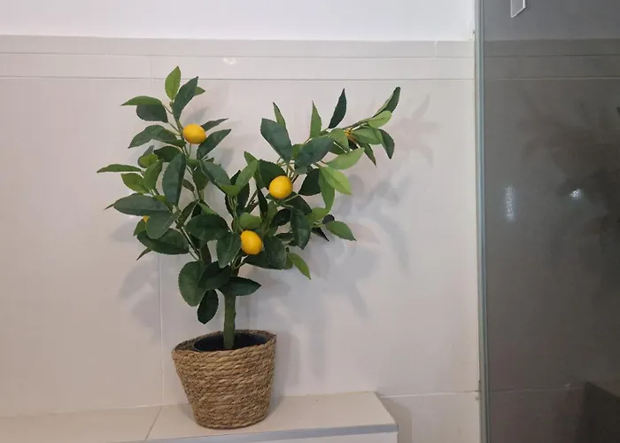 Basic Mansion Mandalina 公寓